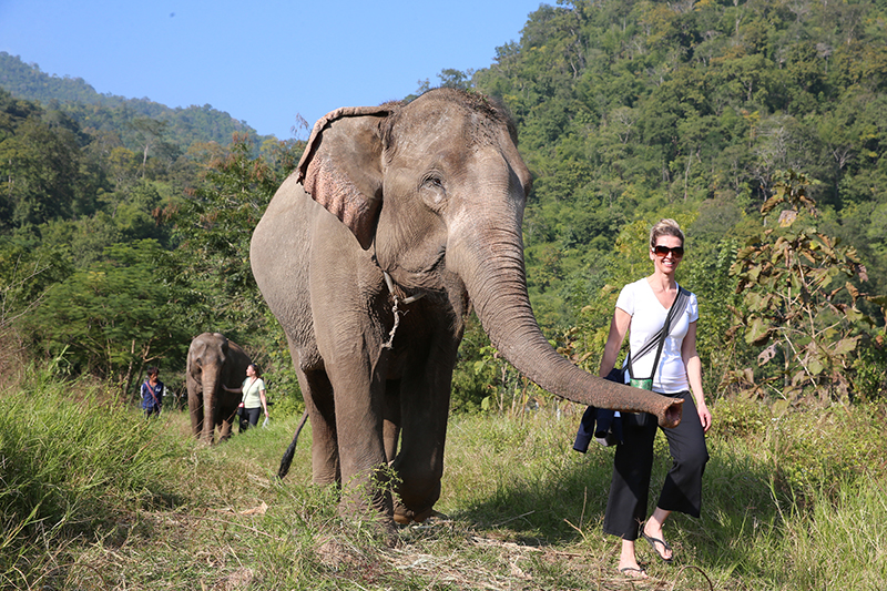 Elephant Nature Park, Elefantes en Chiang Mai - Forum Thailand