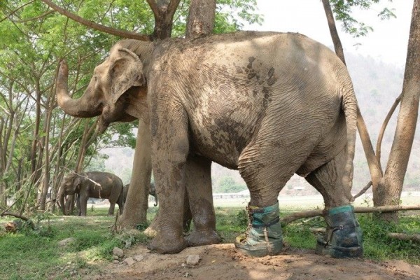  Mae Tee seems very confident to wear the boots 