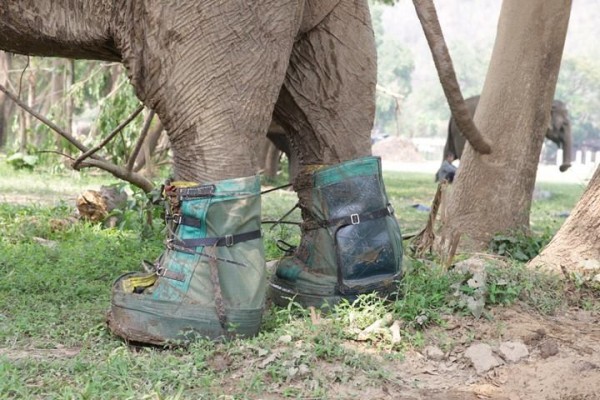 New boots for Mae Tee and protect her feet from the dirty mud.