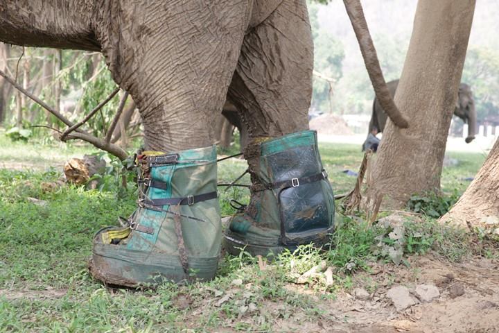 Elephant feet shoes deals