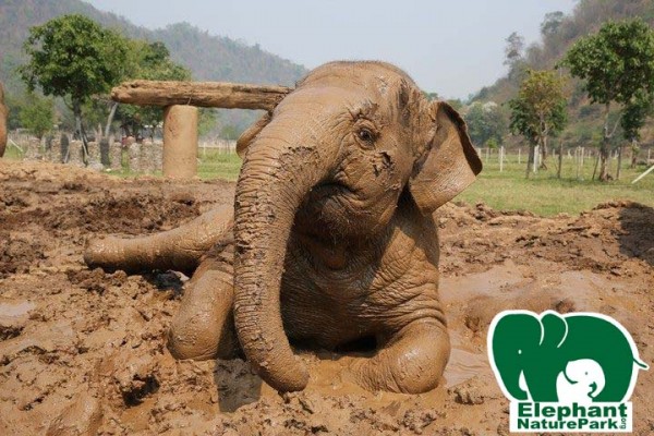 She loves the mud
