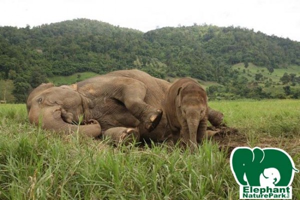 Faa mai and her mother Mae Bua Tong
