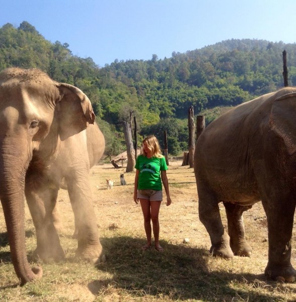 Volunteers enjoy a unique sharing experience with our herd