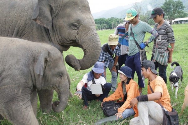 Our cute elephant love to join watching video