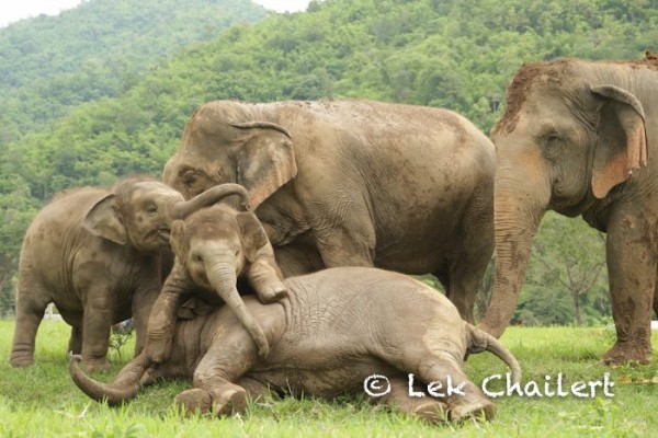 See how naughty and cute they are