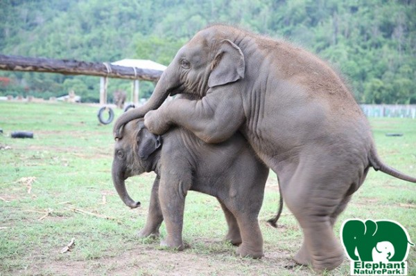 Happy playing time together 