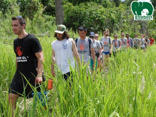 volunteer at Cambodia wiildlife Sanctaury