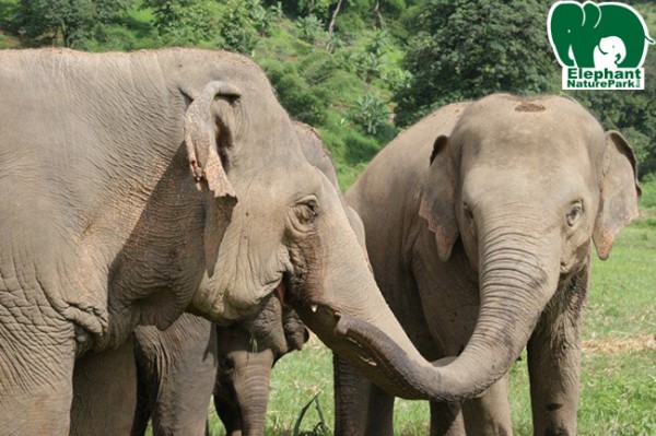 Jokia and Tong Jaan show the love to each other