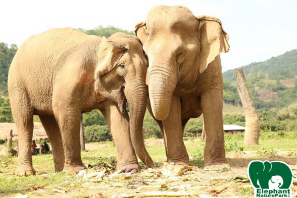 Thai Koon and Jeam Sai, love their smile