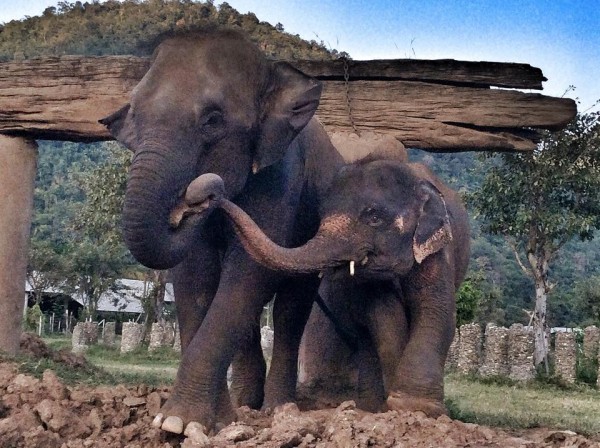 Khun Dej tried to share the clay from his new nanny.