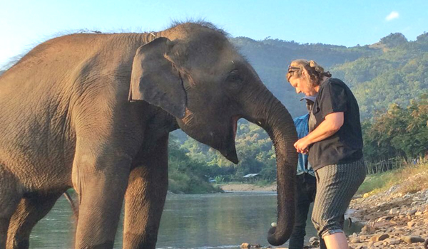 Welcome Saree to be the member of our family at Elephant Nature Park