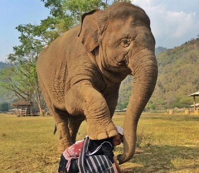 FaaMai has her own way of greeting Lek, this is the elephant kiss and big hug.