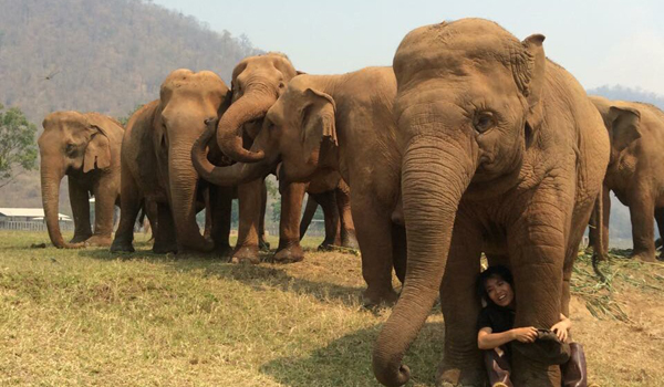 Lek and Faamai are one soul, Lek is part of the herd.