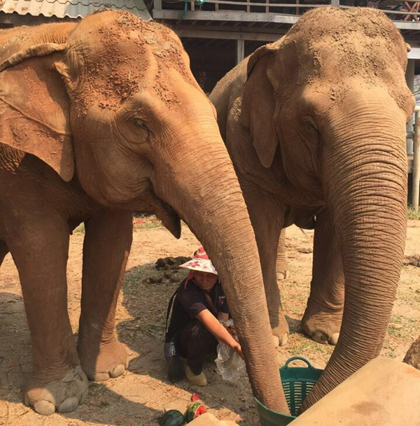 Jokia and Mae Perm are having her favorite fruits.