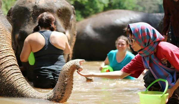 Learning to love and respect is the concept to help elephants. 