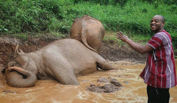 The visitor enjoy watching elephant bath at Karen Elephant Experience program