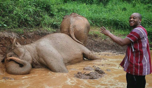 The visitor enjoy watching elephant bath at Karen Elephant Experience program 