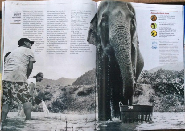 The visitors enjoy elephant bathing at Elephant Nature Park
