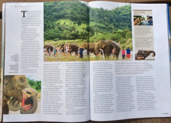 The story of Lek and elephants at our sanctuary