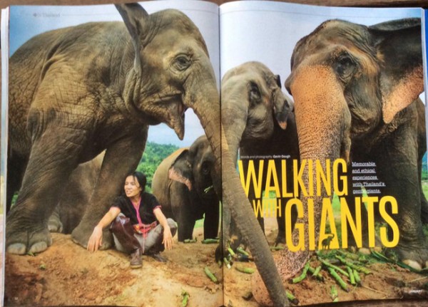 Lek and the gentle giant friends at Elephant Nature Park