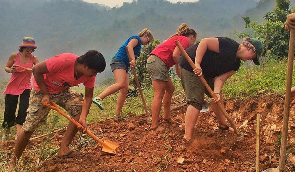 Weekly Volunteer at Elephant Nature Park