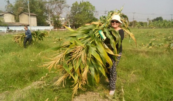 ENP volunteer working in the field.