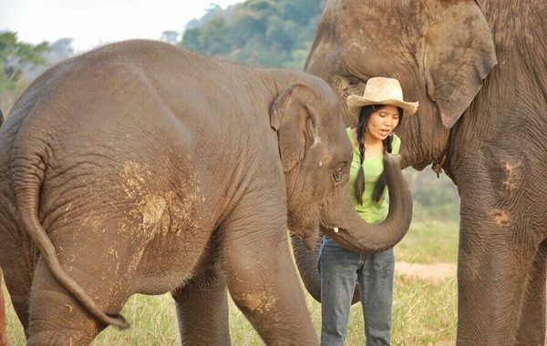 Lek Chailert and the baby elephant