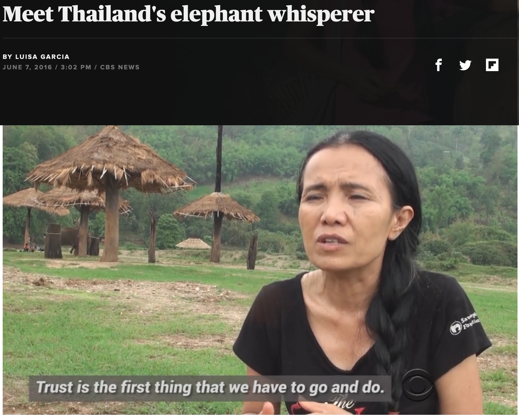 Meet Thailand's elephant whisperer