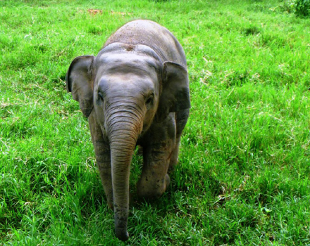 Changyim at 2 years old