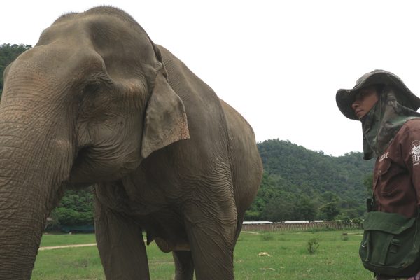 Ma Dee and her mahout 