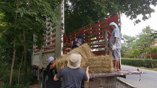 ENP team prepare the truck to get ready to transport Bai Cha to the park