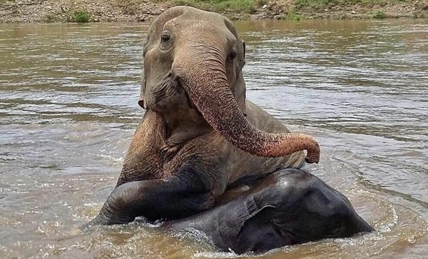 Gran-nanny Tubtim and Navann in the river