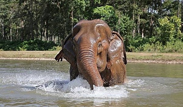 Beautiful blind lady, Mae Jampaa enjoy the river bath 