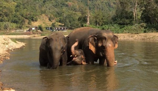 Khundej haveing river bath under the protective from Dani and Saree