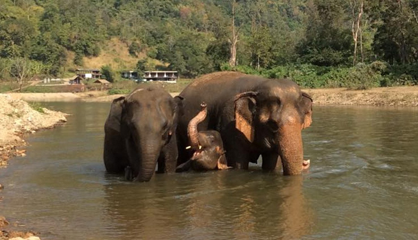 Khundej haveing river bath under the protective from Dani and Saree