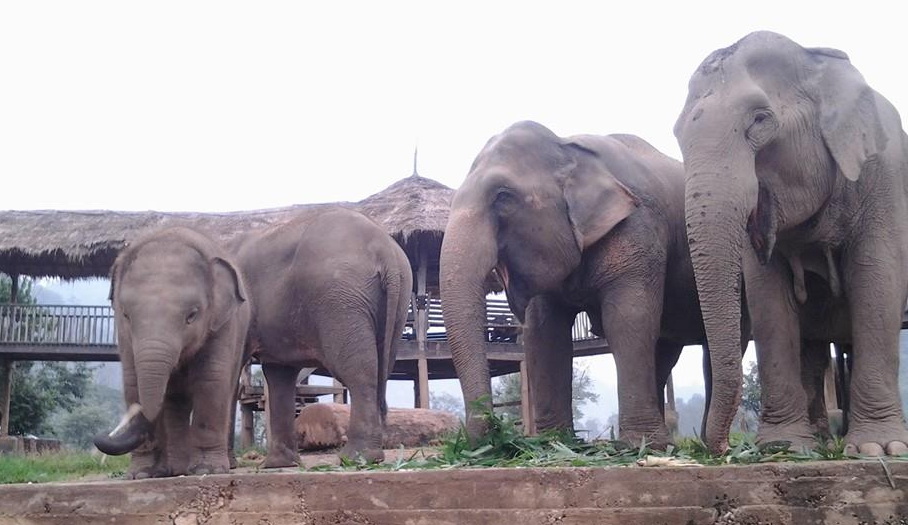 Navann 1 year old, hanging around with his family
