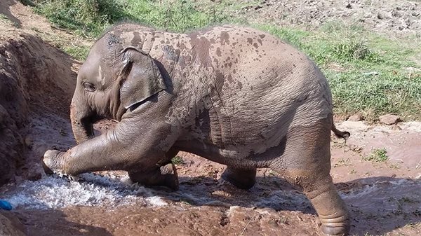 Chubby Navann 2 years old love to get soak with water from fire hose
