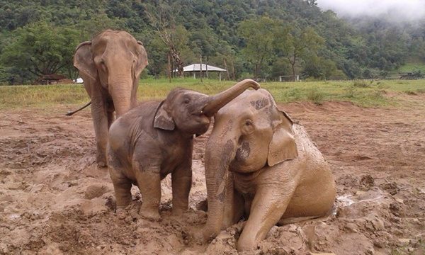 Navann 2 years old and his nanny, Tubtim