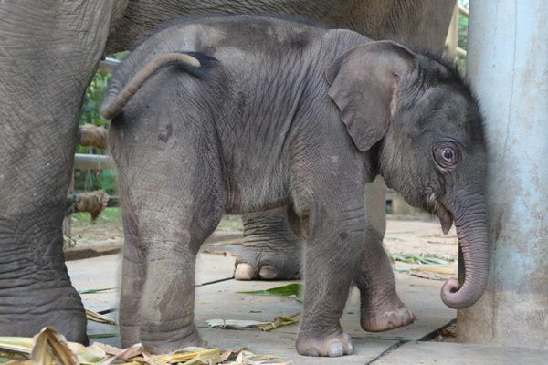 Navann has shown his playful character since he was 1 week