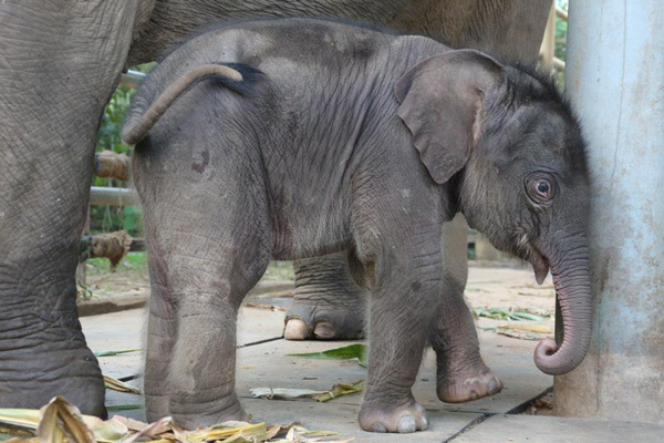 Navann has shown his playful character since he was 1 week
