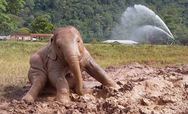 Navann 3 years old, great fun with mud bath