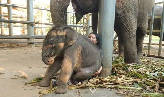 Navann 1 month, sitting on Lek