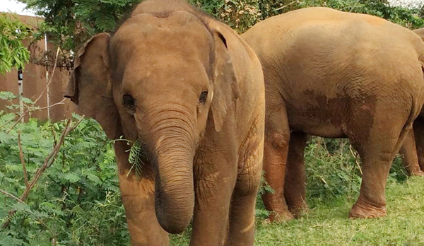 Kham La hanging around with her family