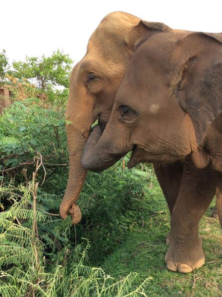 Kham La and her mother, Mae Sai Ngern stay beside and keep touching each other