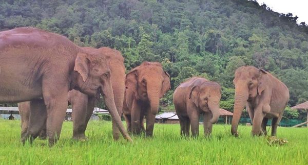 Yai Bua and Khamla's family