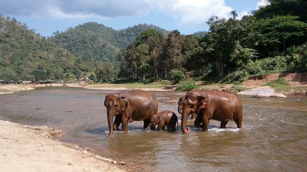 DokNgern leading her baby walk across the river