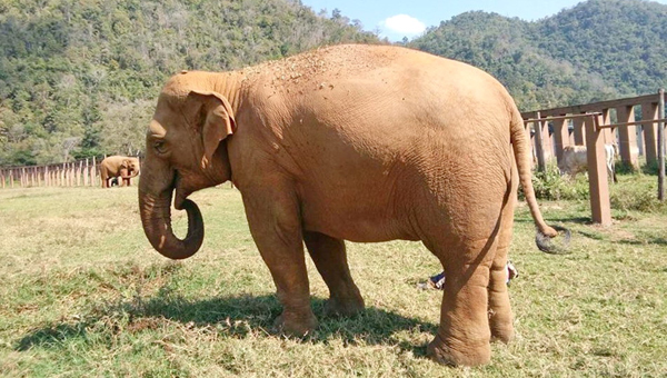 Tong Jaan spend time in afternoon during a sunny day at ENP