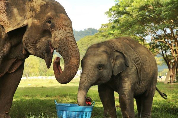 Dao Tong and Navann share some fruits to each other