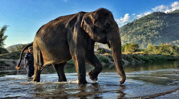 Sook Jai's first time relaxing in the river at ENP