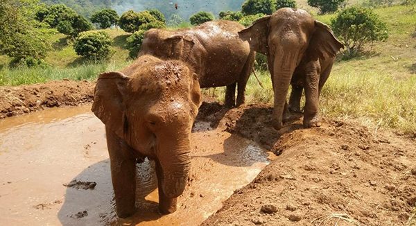 Kham Pang, Mae Pon and Nong Pop at the mud pit